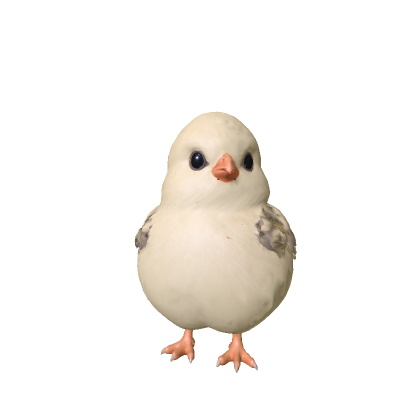 Pet Chick (Counter Strike 2)