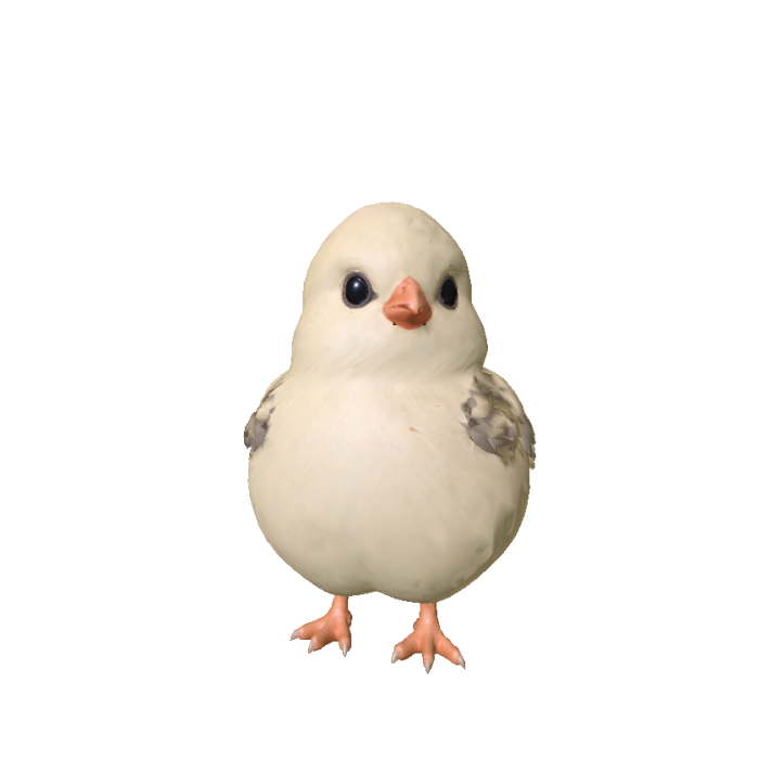 Pet Chick (Counter Strike 2)