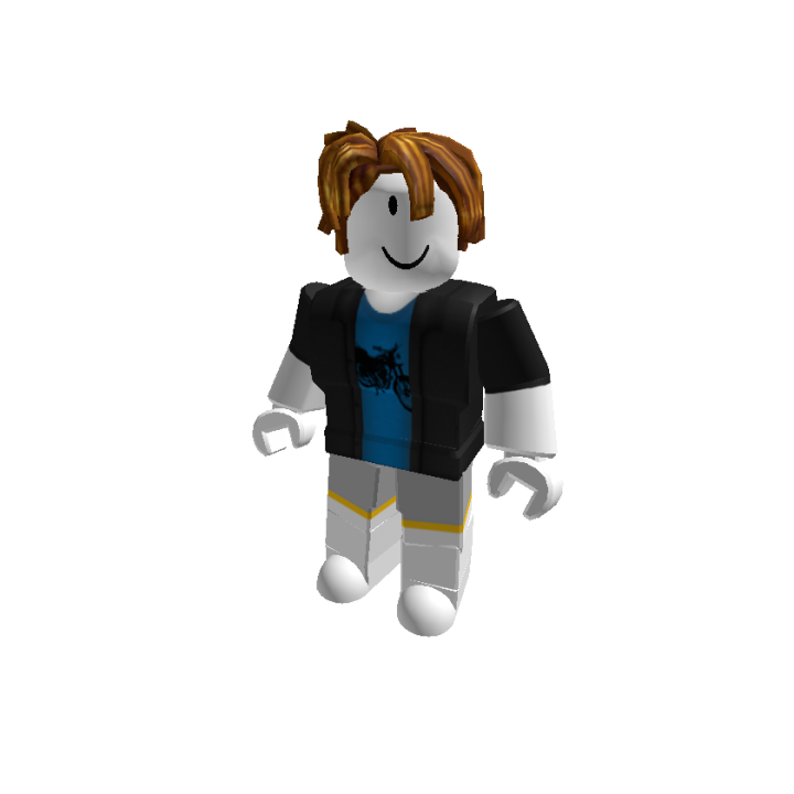 Roblox banner for @karan666