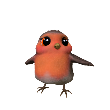 Cute Robin (Bird)
