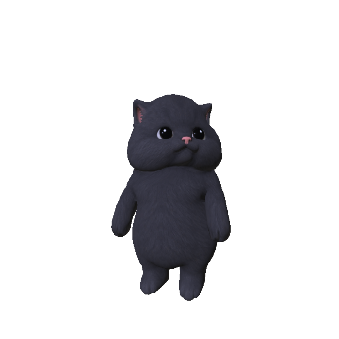 Chubby Cheeked Kitten