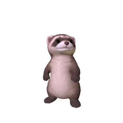 Mini Ferret