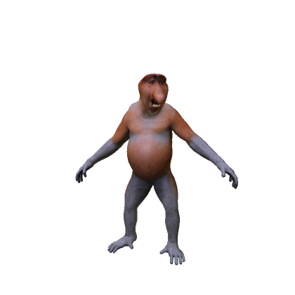 Big Nose Monkey