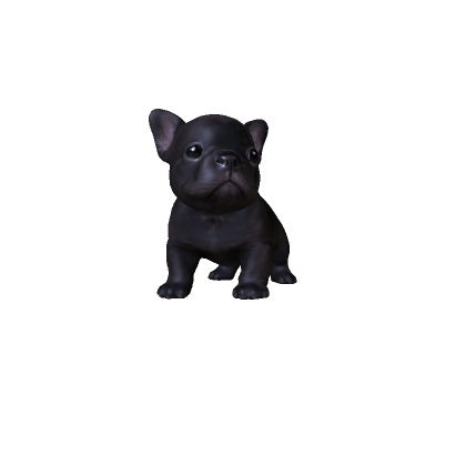 Mini Pibble Dog