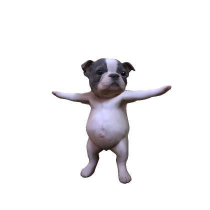 Pibble