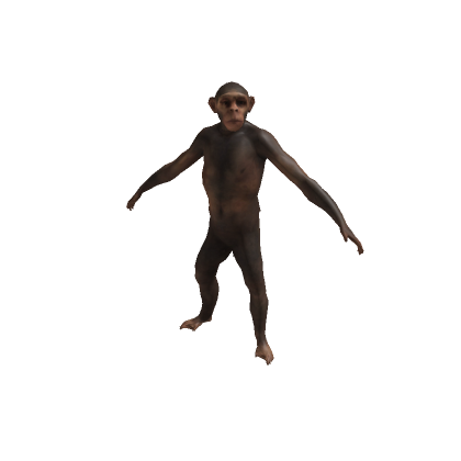 Ape