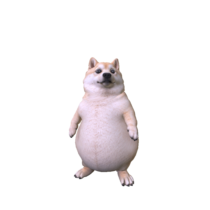 Chubby Shiba