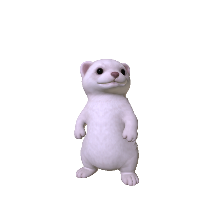 Mini Ferret