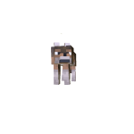 Small Forest Wolf