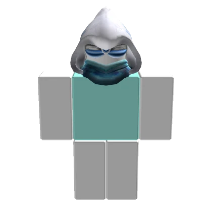 bigflight24 | Roblox Inventory History - Rolimon's