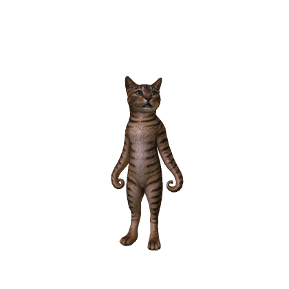 Tentacled Cat thumbnail