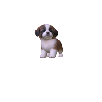 St Bernard Puppy thumbnail