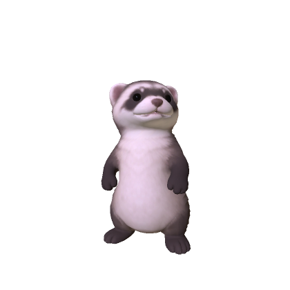 Mini Ferret
