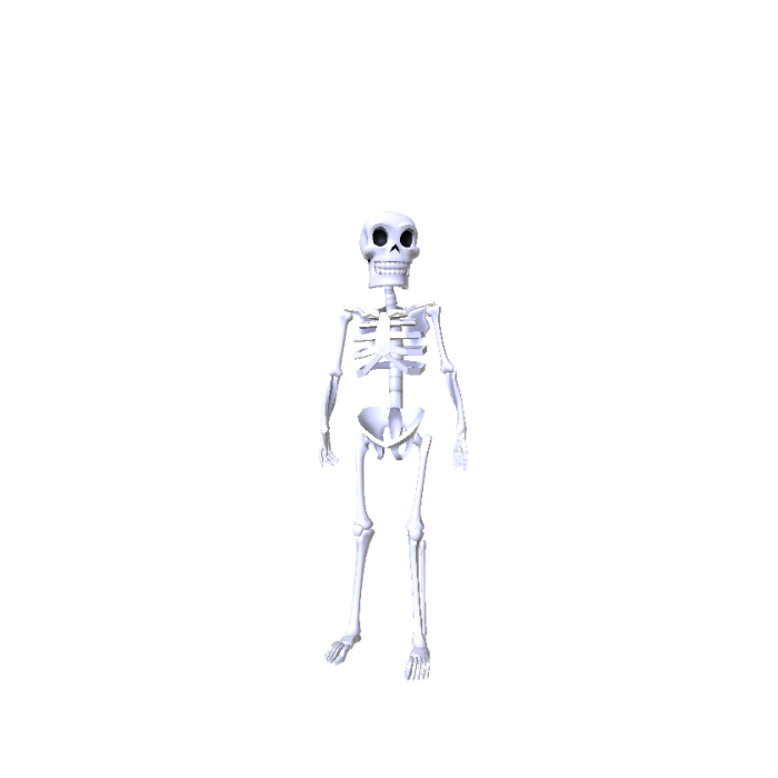 White Skeleton
