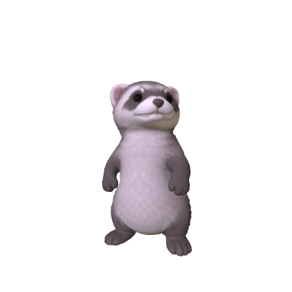 Mini Ferret