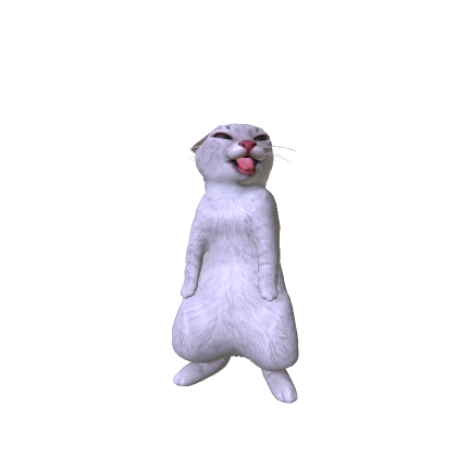 White Rigby Cat