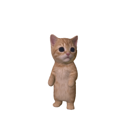 El Gato