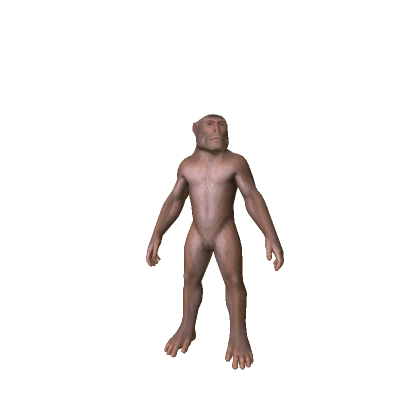 monky