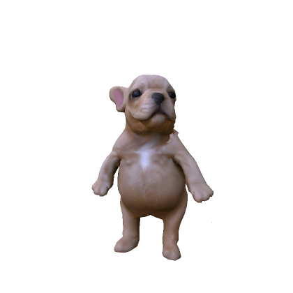 Mini Chubby Pibble Dog