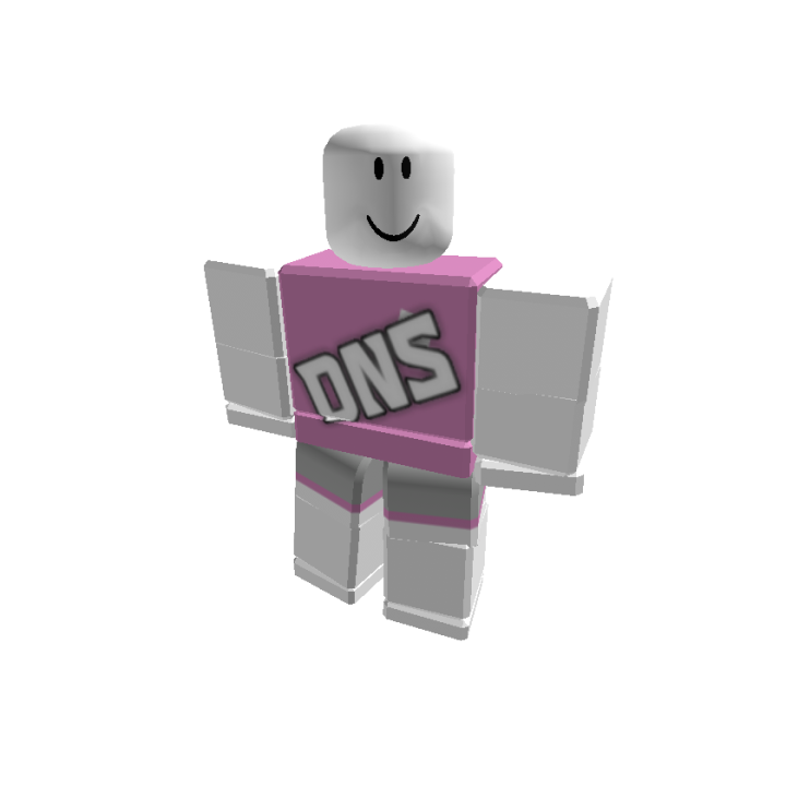 Roblox banner for @DNS