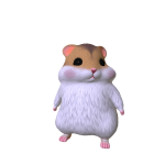 Hamster