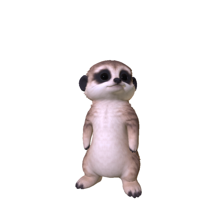 Meerkat