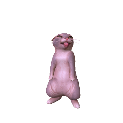 Sphynx Rigby Cat