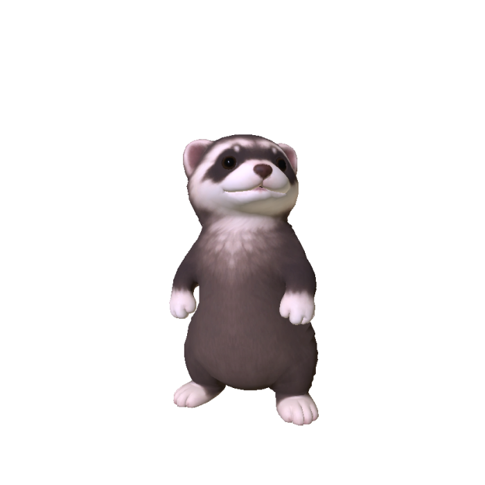 Mini Ferret