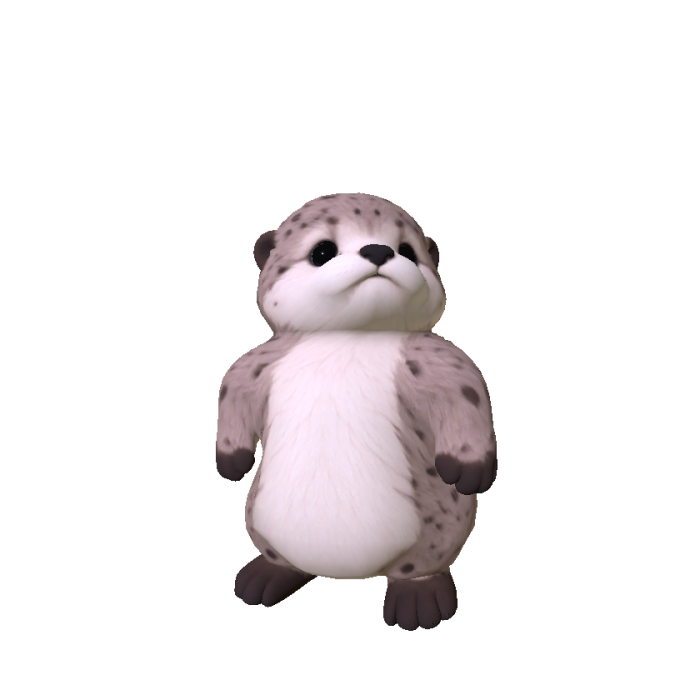 Chubby Sea Otter