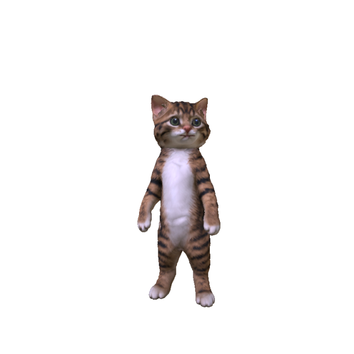 Brown Cat