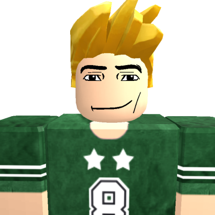 HAMED17402 Roblox avatar torso