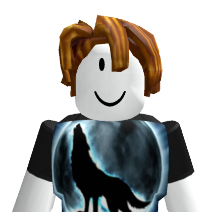 user_9157810507 Roblox avatar torso