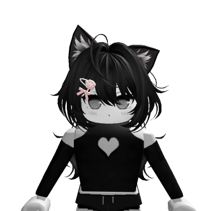 Poapoaur45b Roblox avatar torso