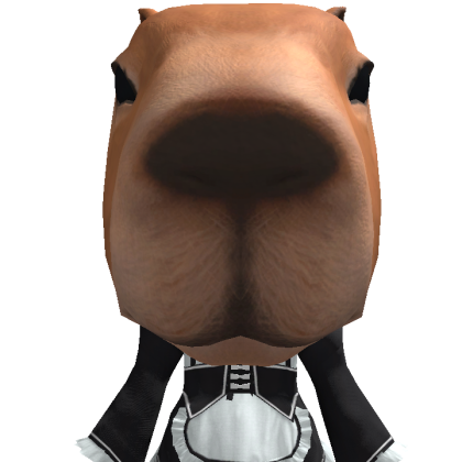 fumifumikan Roblox avatar torso