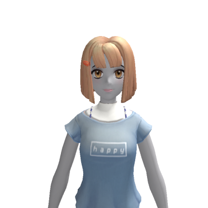 satcarnet19 Roblox avatar torso