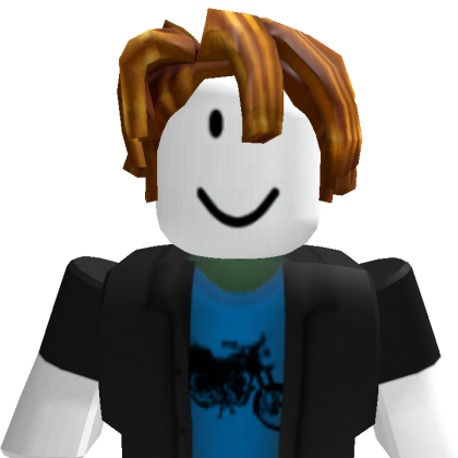 ainesls Roblox avatar torso