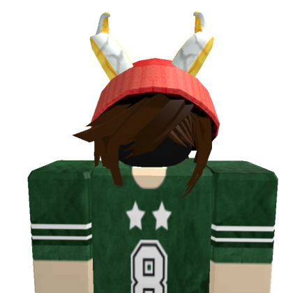 JPRGP8 Roblox avatar torso