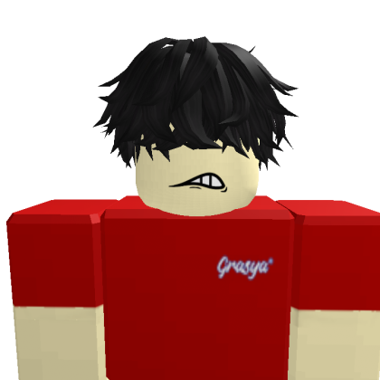 bruhh_wft Roblox avatar torso