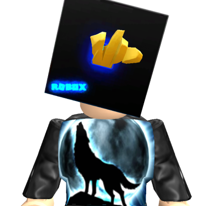 fjfh37467 Roblox avatar torso
