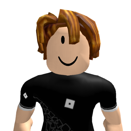 SSSRGOD14 Roblox avatar torso