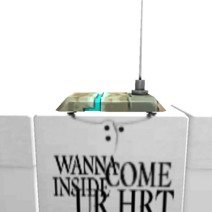 Mr_prime2000 Roblox avatar torso