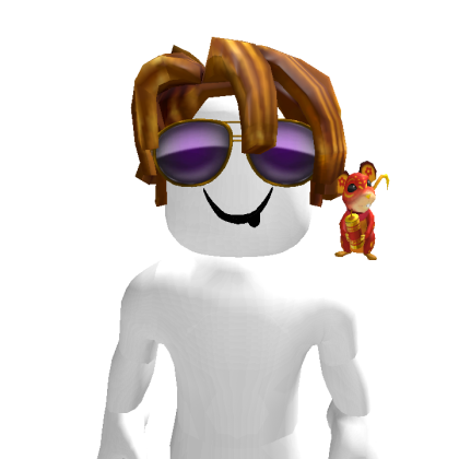 sebbycool89n2 Roblox avatar torso