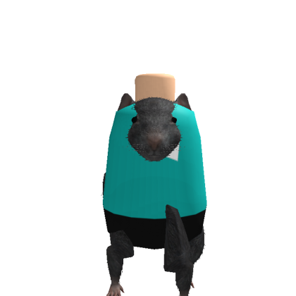goldkeeper62 Roblox avatar torso
