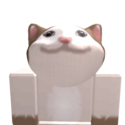 fon1027654 Roblox avatar torso