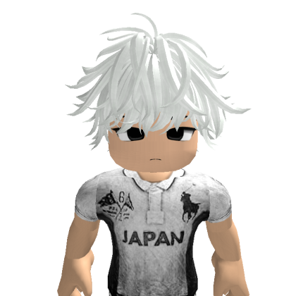 6453172 Roblox avatar torso