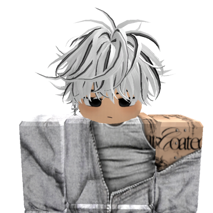 zini_671 Roblox avatar torso