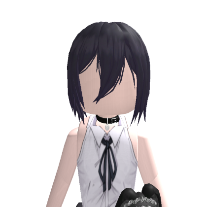 NotCreative22 Roblox avatar torso