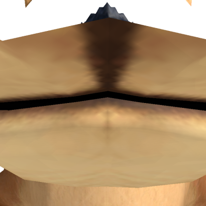 qwerty_7667 Roblox avatar torso