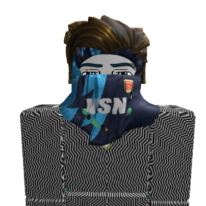 ARSZNW Roblox avatar torso