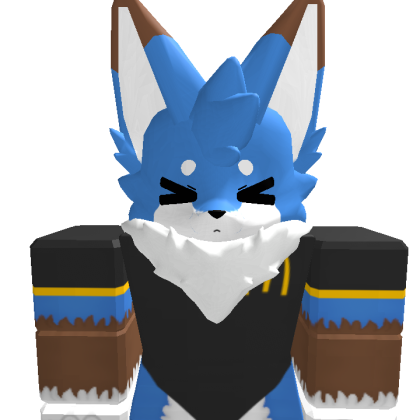 brun_531 Roblox avatar torso